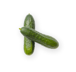 Cucumber